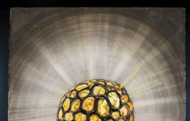 Heaton Beginning 2005