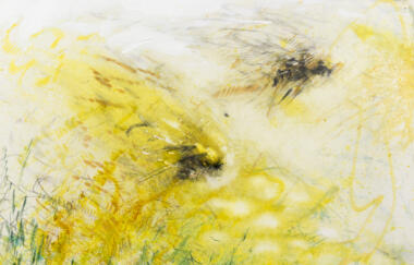 Heaton Study Of Bumblebees 2013