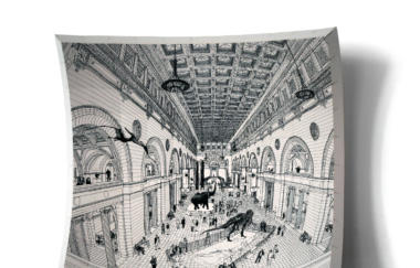 Oakes Have No Narrow Perspective Field Museum 2009