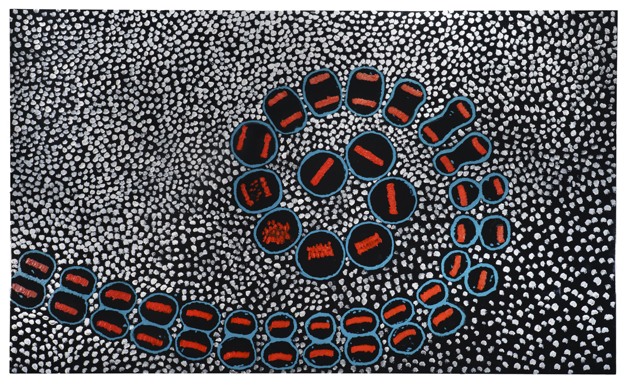 Schlossberg Portrait of Cell Division 2023