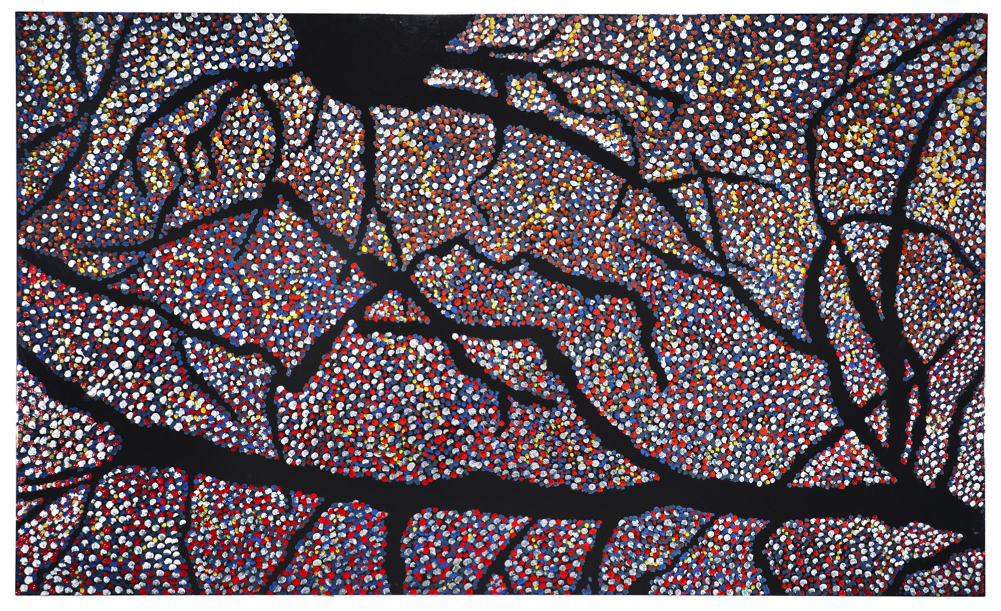 Schlossberg Portrait of Mouse Brain 2023