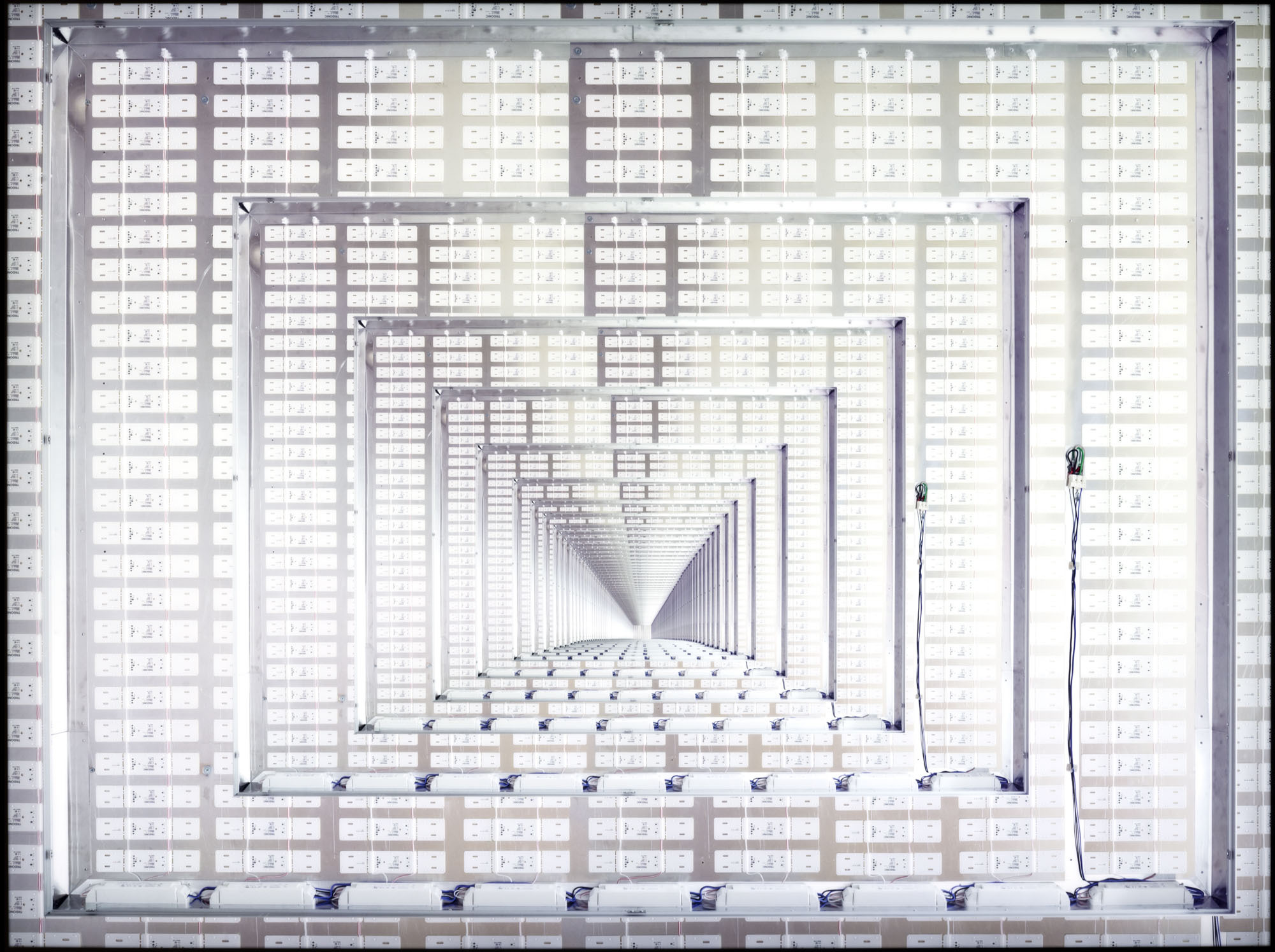 Strebe Invisible Man 2015 cropped