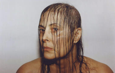 Wilke Intra Venus Series No 6 February 19 1992 1992 1993