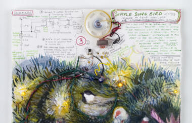 Heaton Simple Song Bird 2011 1