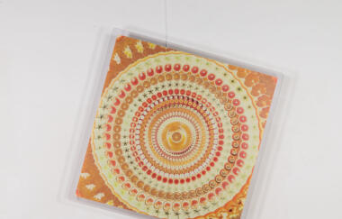 Dyer A Temporal Comparison Of Apples Vs  Oranges 2018 1