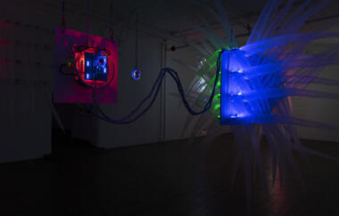 Huang Incubate 2019 9