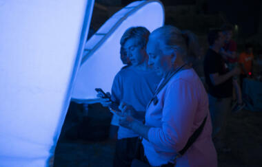 Ballenée Love Motels Brine Fly Variation 1