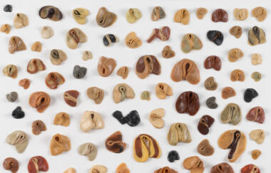 Wilke Gum Landscape 1975 Detail