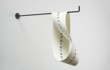 Fox Möbius Strip 2007