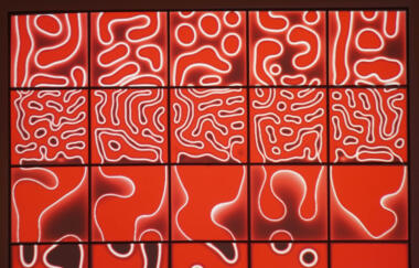 Knep Drift Grid Detail 2005