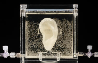 Strebe Sugababe Detail 2014 04