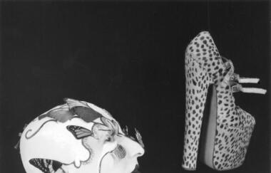 Steven Cohen 2009 1  Peggy Jarrell Kaplan