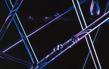 Cottingham Coalesce Detail 2016