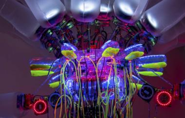 Huang T 24 L 2017 Detail