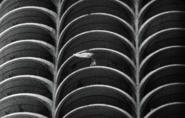 Mary Helena Clark The Plant Still From Film 2012