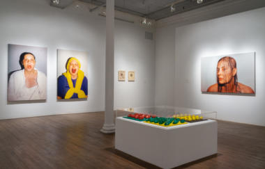 Wilke Force Of Nature Installation View 08