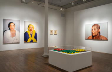 Wilke Force Of Nature Installation View 3